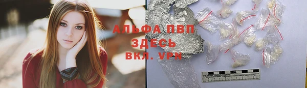 гидра Ладушкин