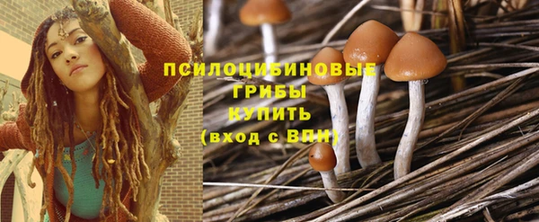 гидра Ладушкин