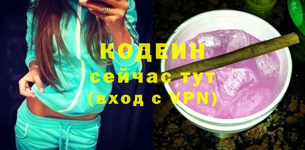 дмт Лабытнанги