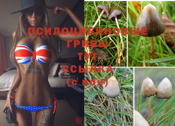 гидра Ладушкин