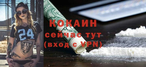 дмт Лабытнанги