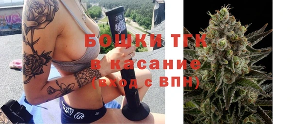 дмт Лабытнанги