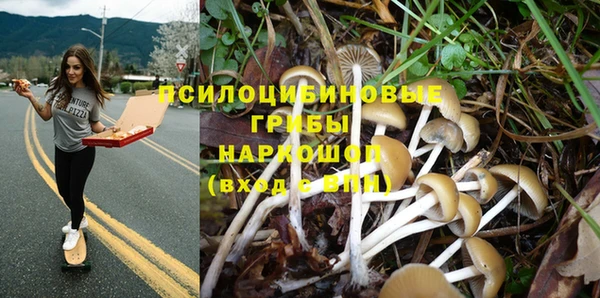 дмт Лабытнанги