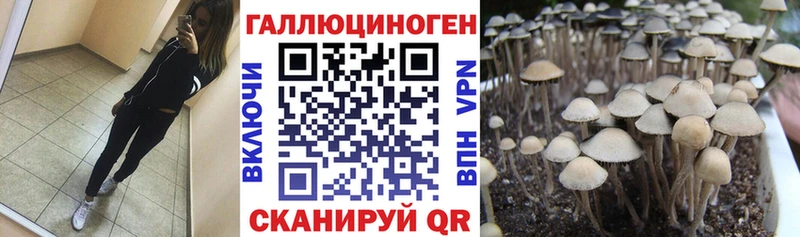 даркнет сайт  Сысерть  omg онион  Псилоцибиновые грибы Cubensis 